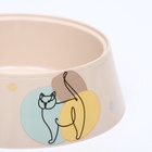 Миска для кошек «Мур-мяу», 300 мл, 14.5×14.5×4 см, пластик, бежевая - Фото 5