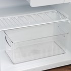 Контейнер для холодильника Berkana, 31,2×15,2×12,7 см, цвет прозрачный - фото 6631639
