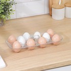 Органайзер для яиц на 10 штук Berkana, 29,7×13,8×5,7 см, с ручкой, цвет прозрачный - фото 9815604