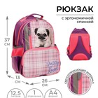 Рюкзак школьный, 37 х 26 х 13 см, эргономичная спинка, Calligrata ОРТ "Мопсик" - фото 9815738