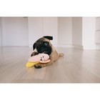 Игрушка для собак "Банан", 14 см - фото 7152681