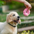 Игрушка для собак "Пончик", 10 см, розовый 7673151