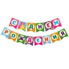 Гирлянда бумажная «С днём рождения», пони + шарики набор 5 штук - фото 39062327