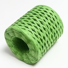 Пряжа 100% целлюлоза "Softino Raffia Color" ленточная, зелёная 200м ±2м 120 гр - Фото 2
