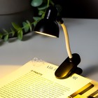 Лампа для чтения "Сантри" LED 2Вт от батареек AG3 МИКС 2,2х3х15 см RISALUX - Фото 4