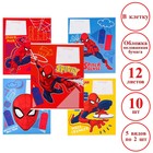 Комплект тетрадей из 10 шт "Человек-паук", 12 листов, в клетку, обложка бумага мелованная, - фото 885346