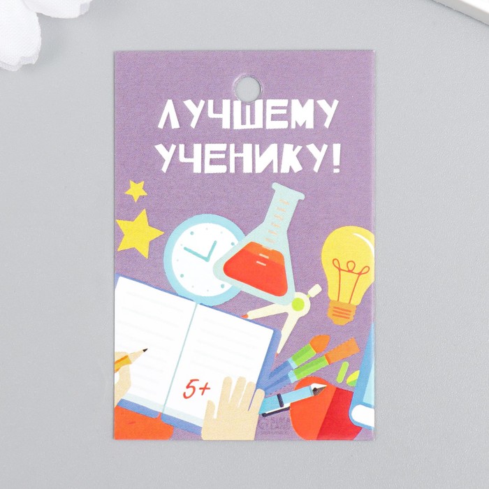 Бирка "Ученик" 4х6 см - Фото 1