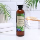 Шампунь для волос «Целебные рецепты» можжевельник и кедровое молочко, 400 мл - Фото 1