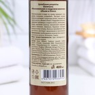 Шампунь для волос «Целебные рецепты» можжевельник и кедровое молочко, 400 мл - Фото 2