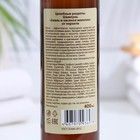 Шампунь для волос от перхоти «Целебные рецепты» хмель и овсяное молочко, 400 мл - Фото 2