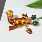 Брошь «Белка» на дубовой ветке, цвет коричневый в золоте - Фото 1