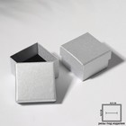 Коробочка подарочная под серьги/кольцо «Блеск», 5×5(размер полезной части 4,5×4,5м), цвет серебро - фото 320195636