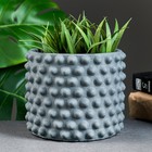 Горшок "Точки" 15х11,5см, серый  (артикул 7387190)  большой выбор товаров оптом и в розницу по низким ценам с доставкой