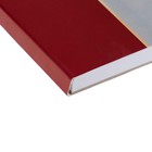 Скетчбук "Луч" De Luxe А4, 50 листов, 210 х 297 мм, блок рисовальная бумага 120 г/м2 - Фото 3