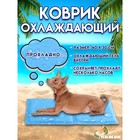 Коврик охлаждающий (гель), 40 х 30 см, капли - Фото 1
