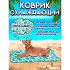 Коврик охлаждающий (гель), 40 х 30 см, тропики - Фото 1