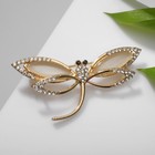 Брошь «Кошачий глаз» стрекоза, цвет бежевый в золоте - Фото 1