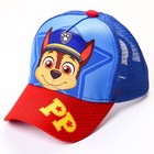 Кепка детская с сеткой, размер 52-56 «Скай, Щенячий патруль» - фото 35247049