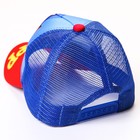 Кепка детская с сеткой, размер 52-56 «Скай, Щенячий патруль» - фото 35247050