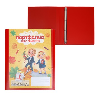 Папка-портфолио А4, Calligrata «Гимназия», пластиковая, на 4 кольцах, для школьника, без вкладышей