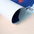 Накладка на стол пластиковая А3 (460×330 мм), Calligrata «Карта мира», 430 мкм, обучающая - Фото 4