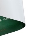 Накладка на стол пластиковая А3 (460 х 330 мм), Calligrata "Пиши правильно. Письмо", 430 мкм, обучающая - фото 9357904