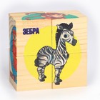 Кубики из натурального дерева «Мир Африки» - фото 34739481