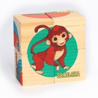 Кубики из натурального дерева «Мир Африки» - фото 34739484