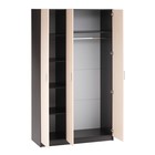 Шкаф трёхстворчатый Бася, Венге/Дуб молочный - Фото 2