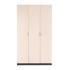 Шкаф трёхстворчатый Бася, Венге/Дуб молочный - Фото 3