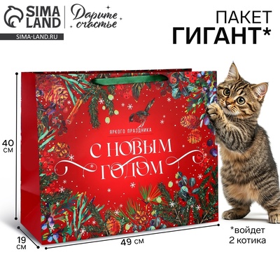 Пакет подарочный новогодний ламинированный «С Новым годом», XL 49×40×19 см