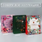 Пакет подарочный новогодний ламинированный «Малахит», L 31 х 40 х 11,5 см, Новый год 7695696 - фото 12615389