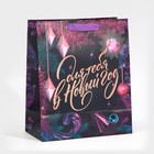 Пакет ламинированный вертикальный «Для тебя в Новый Год», ML 23 х 27 х 11,5 см, Новый год - фото 21654224