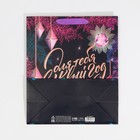 Пакет ламинированный вертикальный «Для тебя в Новый Год», ML 23 х 27 х 11,5 см, Новый год - фото 21654228