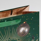 Пакет ламинированный вертикальный «Роскошь», ML 23 × 27 × 11,5 см - фото 21654261