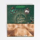 Пакет ламинированный вертикальный «Роскошь», ML 23 × 27 × 11,5 см - фото 21654263