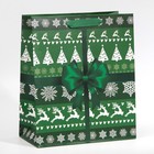 Пакет ламинированный вертикальный «Новогодний подарок», ML 27 × 23 × 11,5 см - фото 9820949