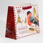Пакет подарочный новогодний ламинированный «Новогодняя почта», ML 27×23×11.5 см 7695741