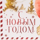 Пакет подарочный новогодний ламинированный «Новогодняя почта», ML 27×23×11.5 см 7695741