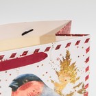 Пакет подарочный новогодний ламинированный «Новогодняя почта», ML 27×23×11.5 см 7695741