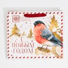 Пакет подарочный новогодний ламинированный «Новогодняя почта», ML 27×23×11.5 см 7695741