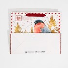 Пакет подарочный новогодний ламинированный «Новогодняя почта», ML 27×23×11.5 см 7695741