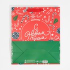 Пакет подарочный новогодний ламинированный «Поздравляем с Новым Годом», ML 23 х 27 х 11,5 см, Новый год - фото 25509663