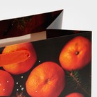 Пакет ламинированный горизонтальный «Мандаринки», ML 27 × 23 × 11,5 см - фото 10305705