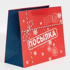 Пакет подарочный новогодний ламинированный «Посылка», ML 27 х 23 х 11,5 см, Новый год - фото 21654384