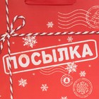 Пакет подарочный новогодний ламинированный «Посылка», ML 27 х 23 х 11,5 см, Новый год - фото 21654386