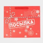 Пакет подарочный новогодний ламинированный «Посылка», ML 27 х 23 х 11,5 см, Новый год - фото 21654388