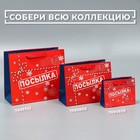Пакет подарочный новогодний ламинированный «Посылка», ML 27×23×11.5 см 7695752