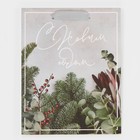 Пакет ламинированный вертикальный «Еловый аромат», MS 18 × 23 × 10 см - фото 804903784