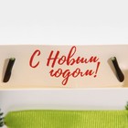 Пакет подарочный новогодний ламинированный «Ёлочки», MS 18 х 23 х 10 см 7695779 - фото 14058163
